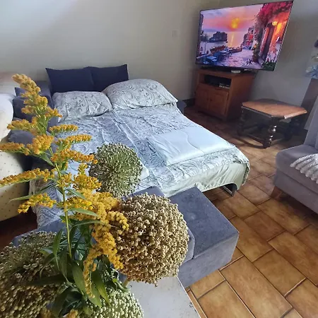 Nocleg ze śniadaniem Aroleid Port-Valais