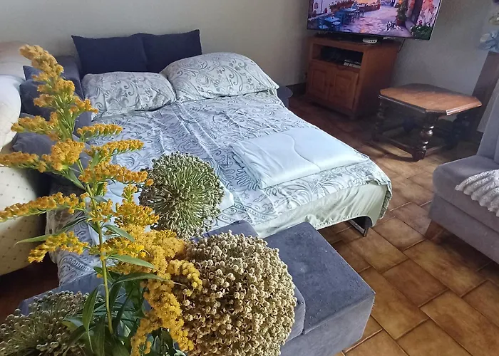 Bed & Breakfast Aroleid Port-Valais